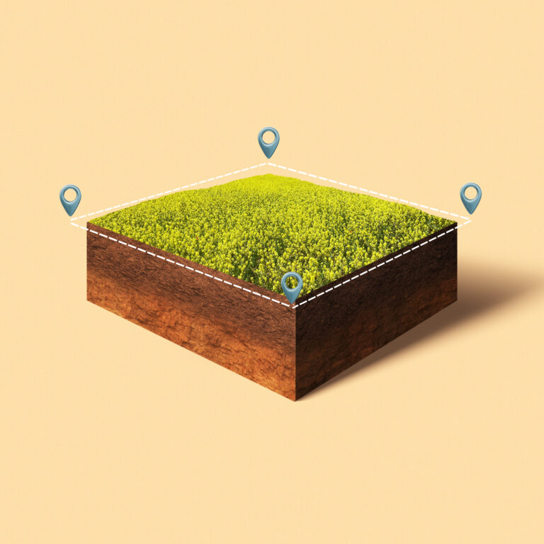 Delimitation Land Plots 768x768